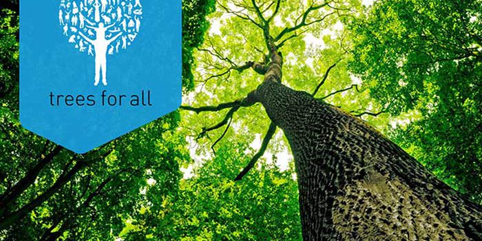 plant-het-voort-trees-for-all